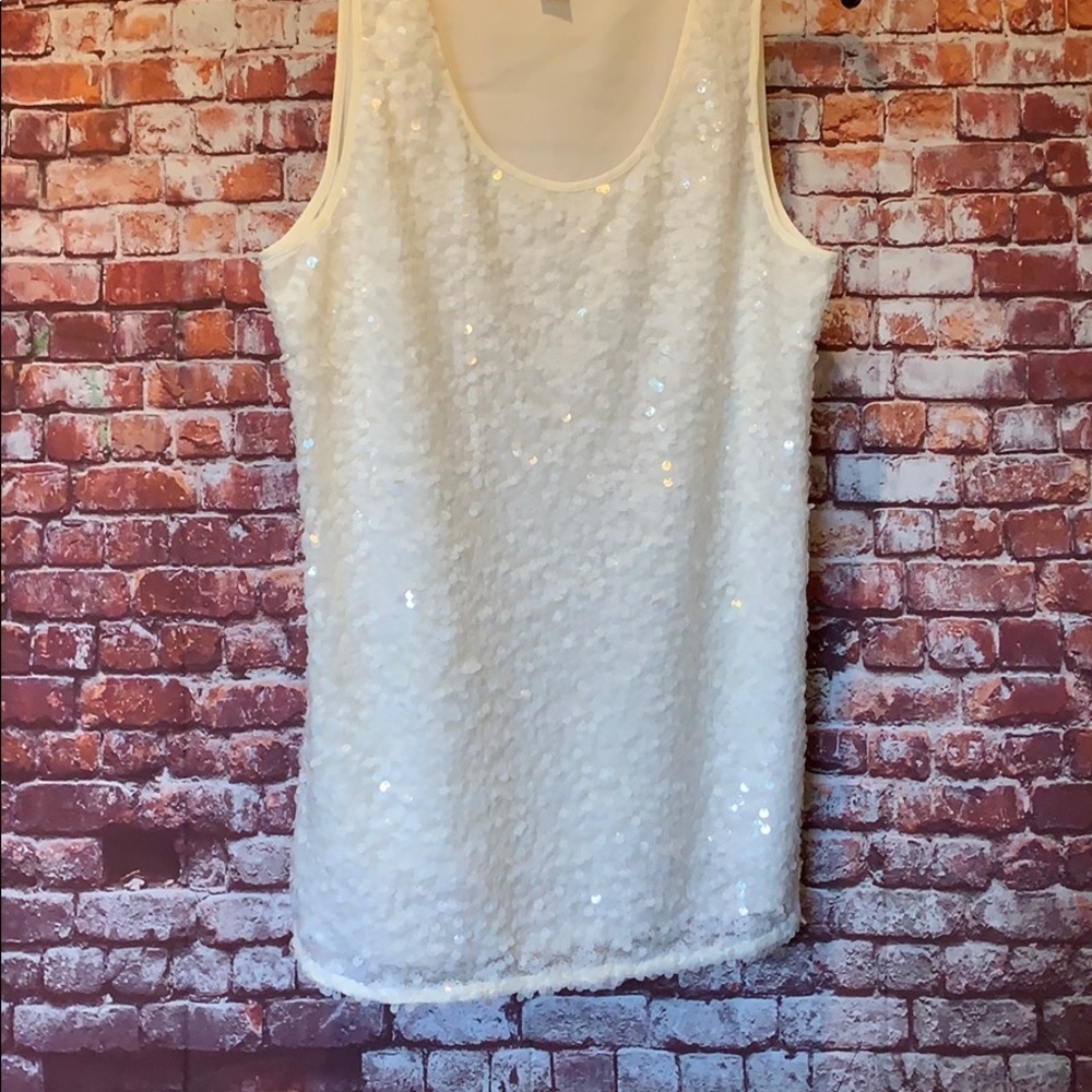 Ann Taylor LOFT Sequined top.